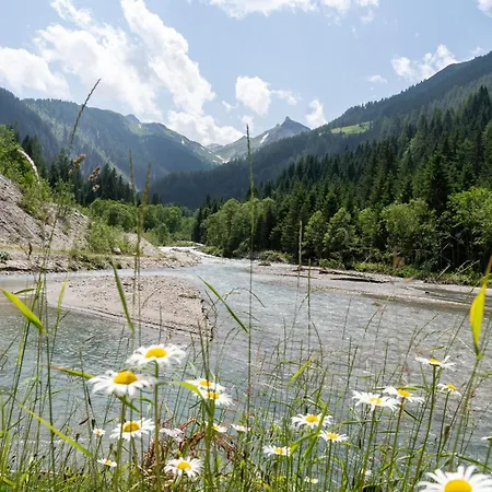 Apartamento Hochalmbahnen 20w3, Alpenflieder, Nahe Gondel, Hunde Willkommen Rauris