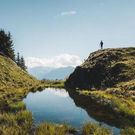 Hochalmbahnen 20w3, Alpenflieder, Nahe Gondel, Hunde Willkommen