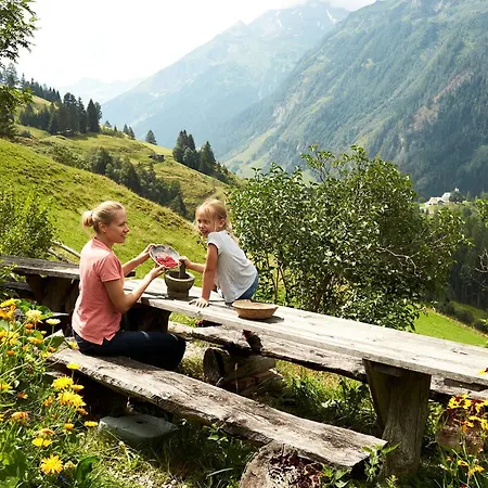 Hochalmbahnen 20w3, Alpenflieder, Nahe Gondel, Hunde Willkommen *