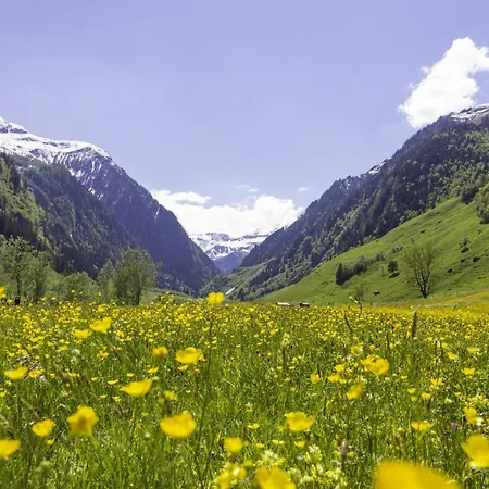 Hochalmbahnen 20w3, Alpenflieder, Nahe Gondel, Hunde Willkommen Rauris