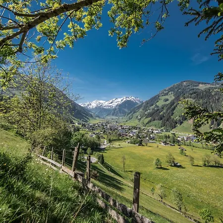 Hochalmbahnen 20w3, Alpenflieder, Nahe Gondel, Hunde Willkommen *