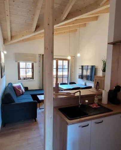 Hochalmbahnen Chalets 20W3, Alpenflieder, Nahe Gondel, Hunde Willkommen